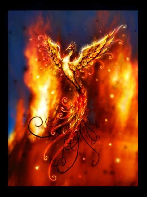 The Phoenix A Symbol Of Those Who Can Be Reborn From Ashes