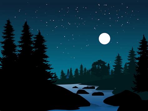 Paisaje Natural Nocturno Con Río Y Noche Estrellada Vector Premium