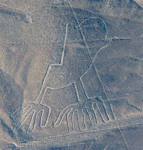 Qué significan las Líneas de Nazca en Perú National Geographic en