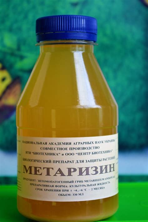 Метаризин - пошаговая инструкция по применению, обзор эффективности ...