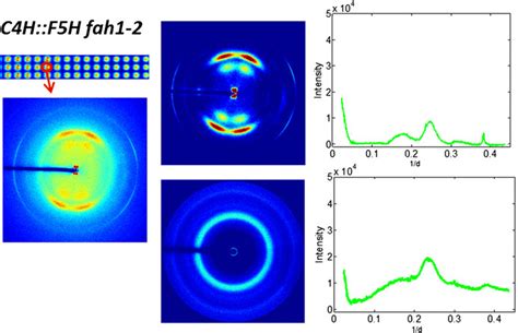 3 Example Of Separation Of Circularly Symmetric And Oriented Download Scientific Diagram