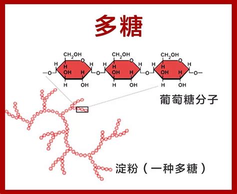 肥胖遇上糖尿病 知乎