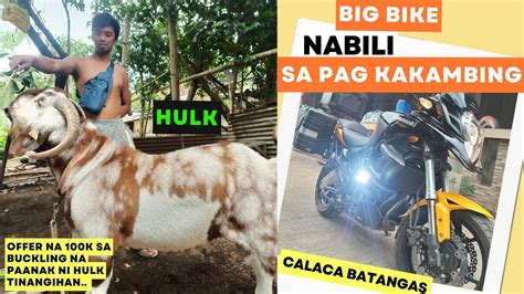 Pag Bisita Sa Kambingan Ni Boss Jun Jun Gomez Ng Calaca Batanagas Goat