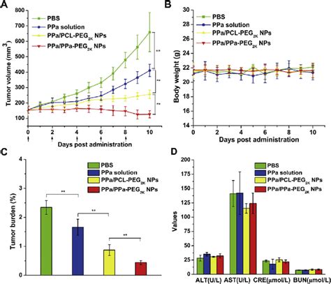 Evaluation On The In Vivo Antitumor Activity In Balb C Mice Bearing T