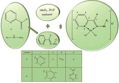 Scheme 1 Synthesis Of Ligands L 1 L 4 And Their Goldiii Complexes Download Scientific