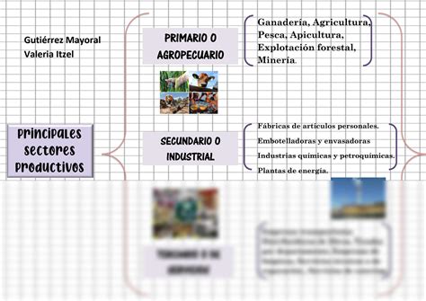 SOLUTION Mapa Conceptual De Los Principales Sectores Productivos