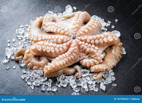 Pulpo Fresco Capturado Sobre Hielo Machacado En Un Mostrador Imagen De