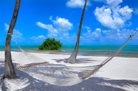 Palm Trees Beach Hammock