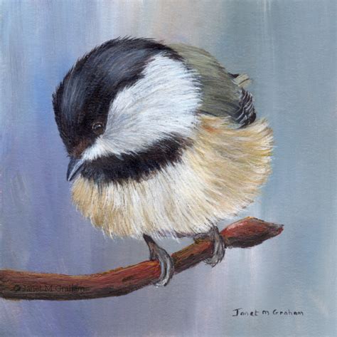 Black Capped Chickadee Painting At Paintingvalley Explore