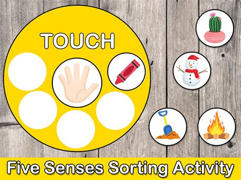 Five Senses Sorting Activity Printable 5 Senses Sorting Busy Book