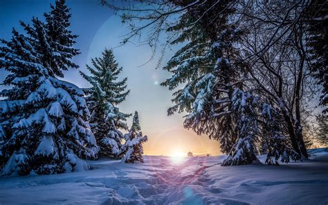 Paysage Nature en hiver Fond d écran Ultra HD