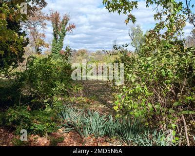 Former Carrollton Subdivision Stock Photo Alamy