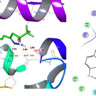 The Protein RMSD RMSF And Proteinligand Contacts Diagram Of Complex