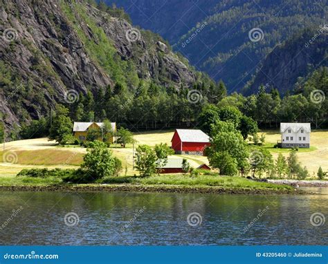 Colorful houses in Norway stock photo. Image of bergen - 43205460