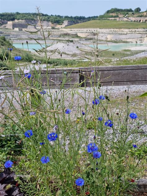 Wandelen En Toeren Puur Zuid Limburg