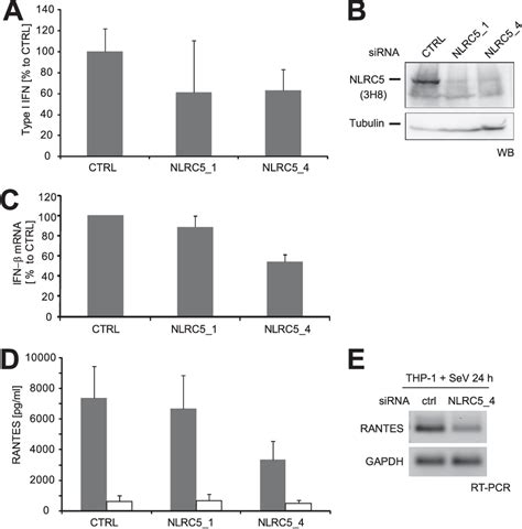 Figure From A Role For The Human Nucleotide Binding Domain Leucine