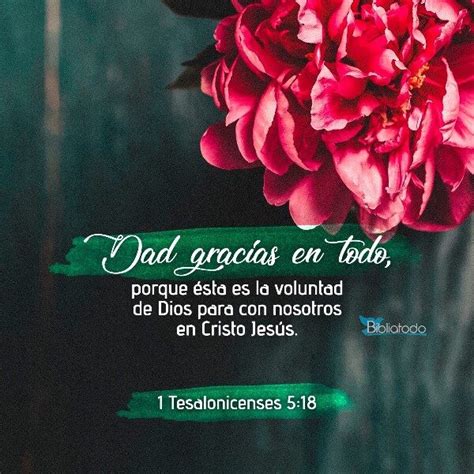 Dad Gracias a Dios en Todo Tiempo Una Guía para una Vida de Gratitud