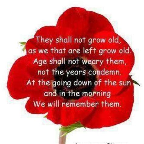 39 Best Remembrance Day We Will Remember Them Images On Pinterest Poppies Favorite Things