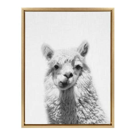 Kate and Laurel Sylvie "Alpaca Portrait" by Simon Te of Tai Prints Framed Canvas Animal Wall Art ...