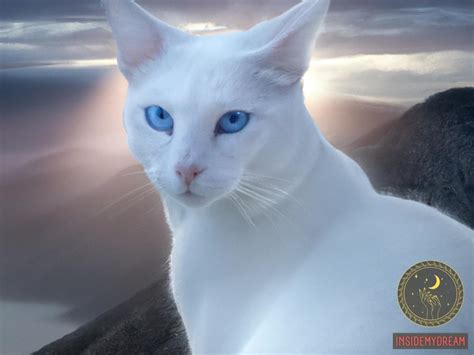 White Cat Dream Meaning Decoding The Symbolism Of Dreaming About A