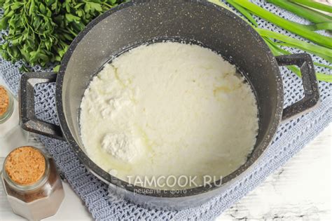 Адыгейский сыр на сыворотке — рецепт с фото пошагово
