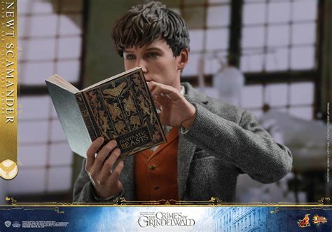 Hot Toys Mms Newt Scamander