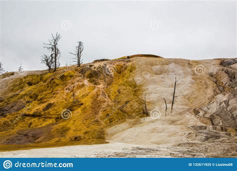 Aguas Termales Gigantescas En Yellowstone Nationalpark Imagen De