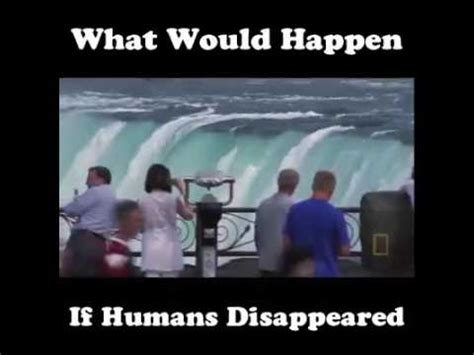 What Would Happen If Humans Disappeared Youtube