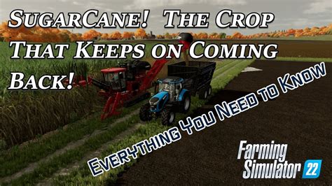 Everything You Need To Know About Sugarcane In Farming Simulator 22