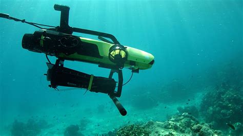 Bbc News The Travel Show The Great Barrier Reef Reef Rescue Could