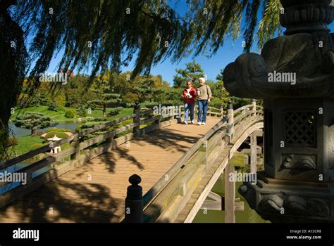 Japanese Garden Bridge Stock Photo - Alamy