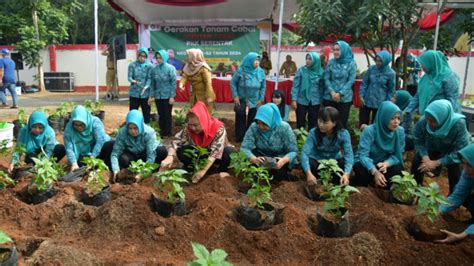 Komitmen Jaga Ketahanan Pangan Penggerak Urban Farming Kota Semarang