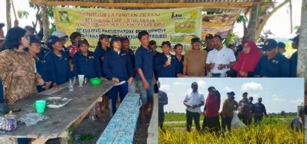 Dinas Pertanian Simalungun Adakan Sekolah Lapangan Petani Dengan