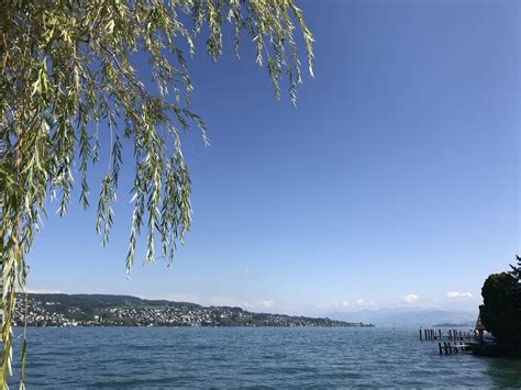 70 best Lake Zurich images on Pholder | Gorillaz, Pics and Zurich