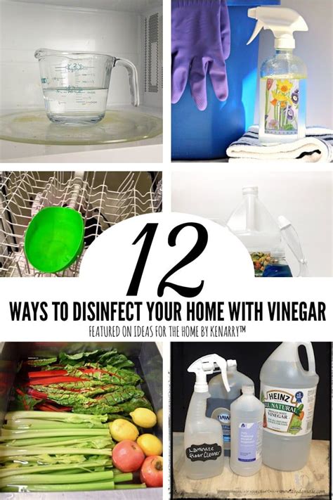 Ways To Disinfect Your Home With Vinegar Homemade Cleaning