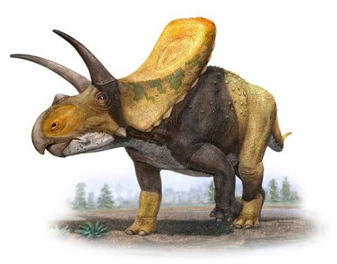 Torosaurus Latus Illustrated By The Very Talented Palaeoartist Sergey