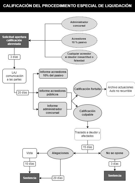 Esquema Sobre La Calificaci N Del Procedimiento Especial De Liquidaci N