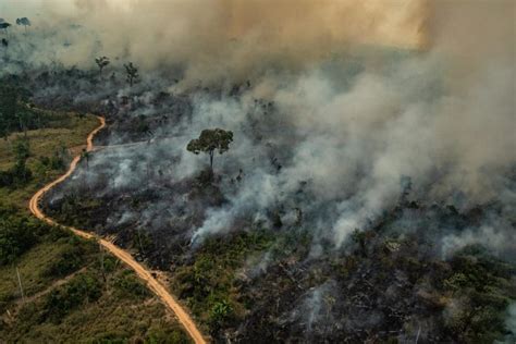 Governo decreta situação de emergência ambiental no Amazonas e antecipa