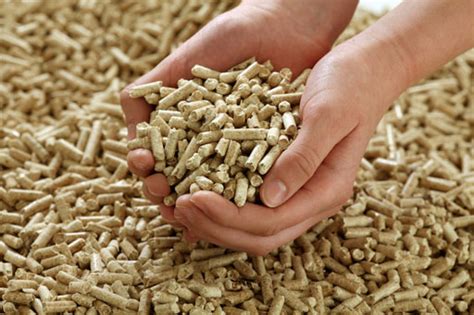 Wood fuel: pellets, chips or logs for biomass boilers?