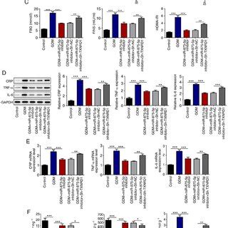 Txnrd Knockdown Reverses The Effects Of Mir P Inhibitor A And