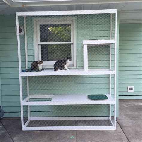 Outdoor Cat Enclosure Ideas | DIY Cat House
