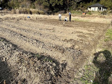 農業体験 神奈川耕さない田植えからひと月ㅤ手作り田んぼはどうなった ブログ 神奈川横浜市の農業体験ならまんまる楽園