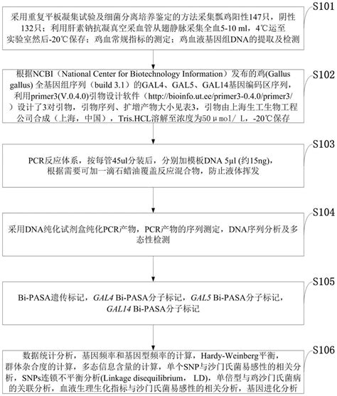 利用防御素基因标记提高鸡群沙门氏菌抵抗力的方法与流程