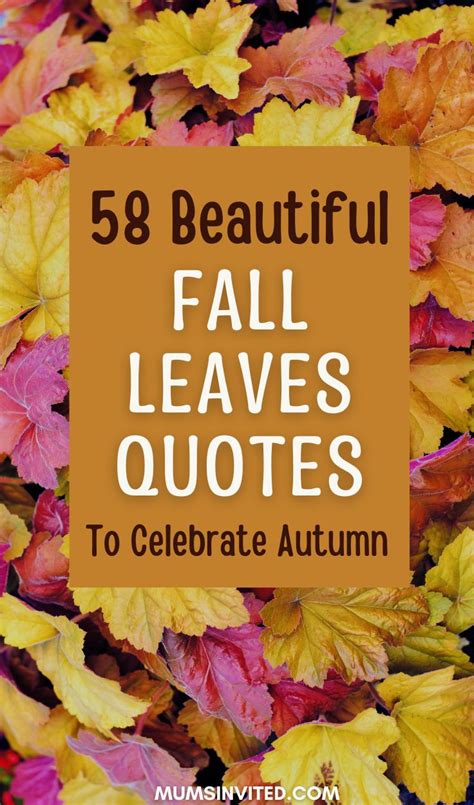 58 Fall Leaves Quotes Embracing Autumn's Majestic Palette - Mums Invited