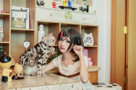 HenNeko Anime Cosplay Anime Cosplay Hentai Ouji To Warawanai Neko Fandoms Anime