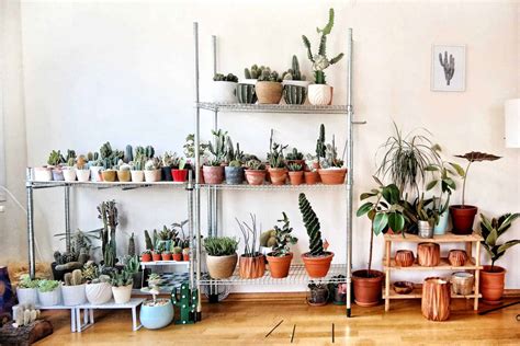 100 Ts For Plant Lovers Merry About Town