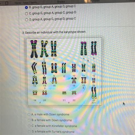 Describe An Individual With The Karyotype Shown