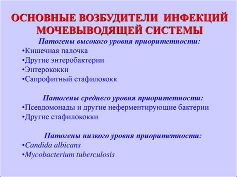 Инфекции верхних дыхательных путей - презентация онлайн