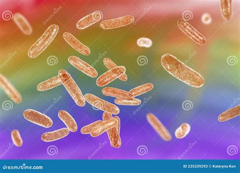 Bacteria Citrobacter Gram Negative Coliform Bacteria From