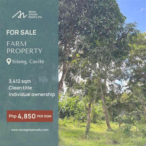 FOR SALE||FARM LOT IN SILANG, CAVITE, Property, For Sale, Lot on Carousell